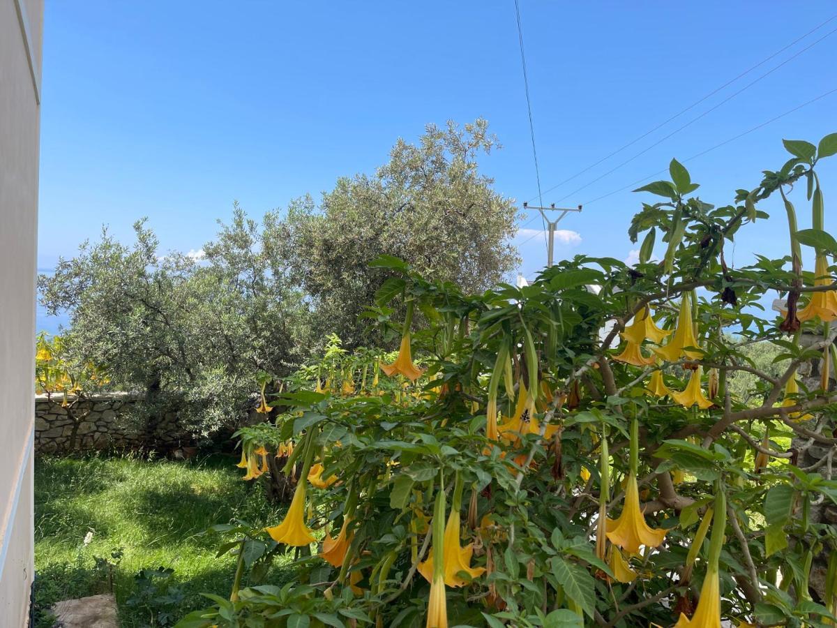 Season Inn Dhermi Exterior photo