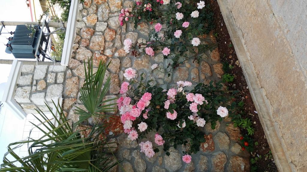 Season Inn Dhermi Exterior photo