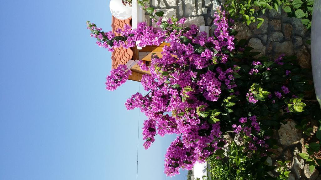 Season Inn Dhermi Exterior photo